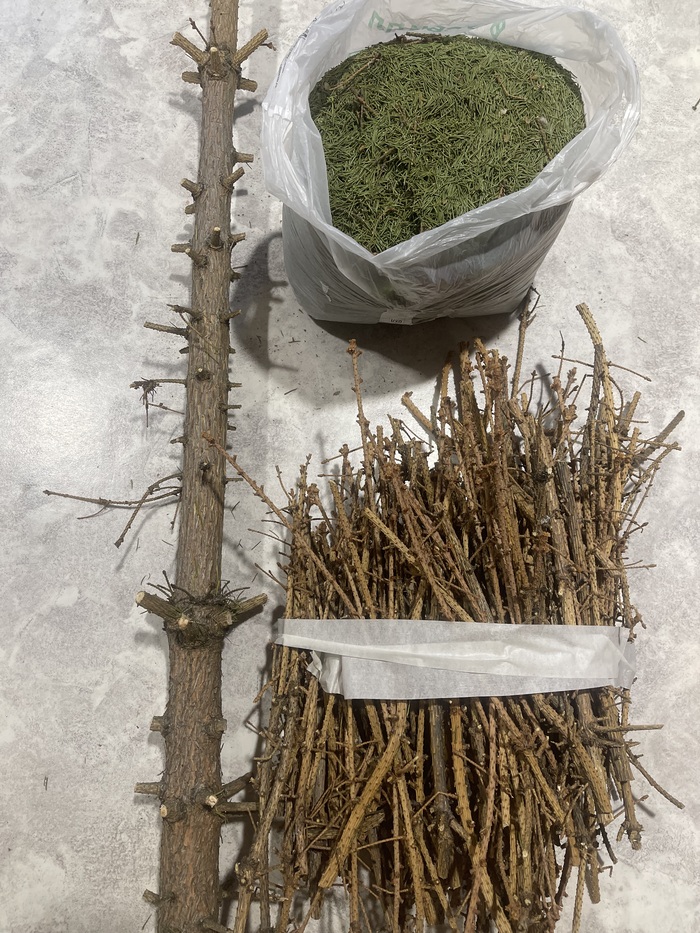 ��������� ����