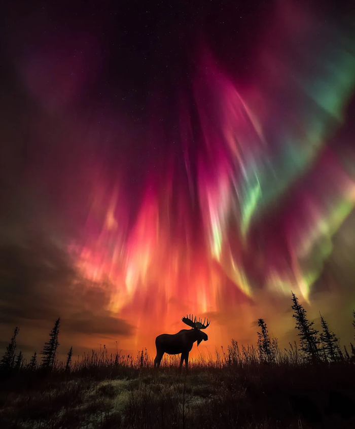 ������ �� �����