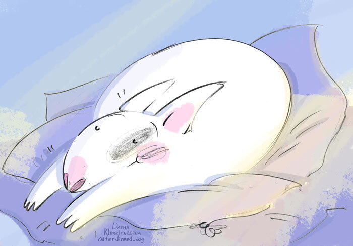 ������ ����������