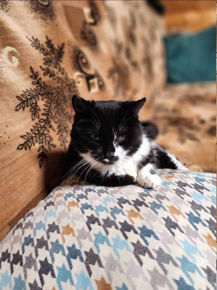 Будете проходить мимо - проходите!