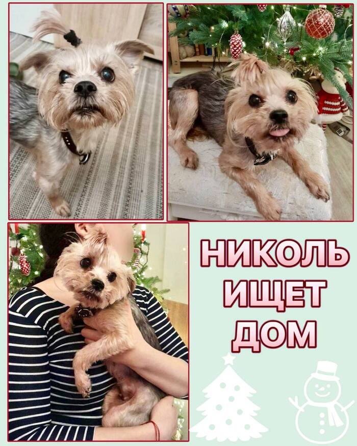 ������ ���� ���