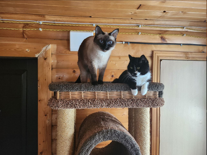 Ну и где эта Люся?