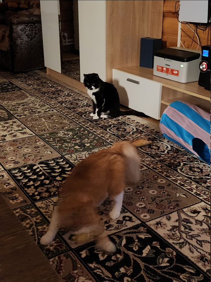 Зовите экзорциста!