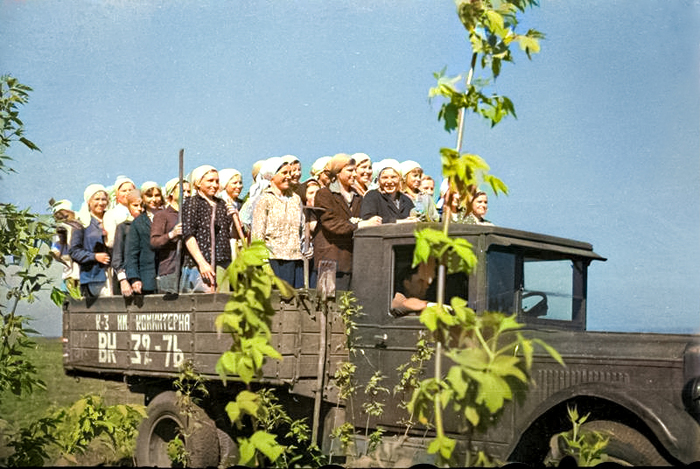 ��������: ��������� ������