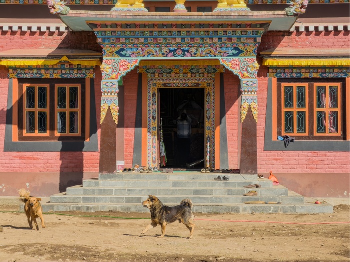 ������ ������. ������ ������