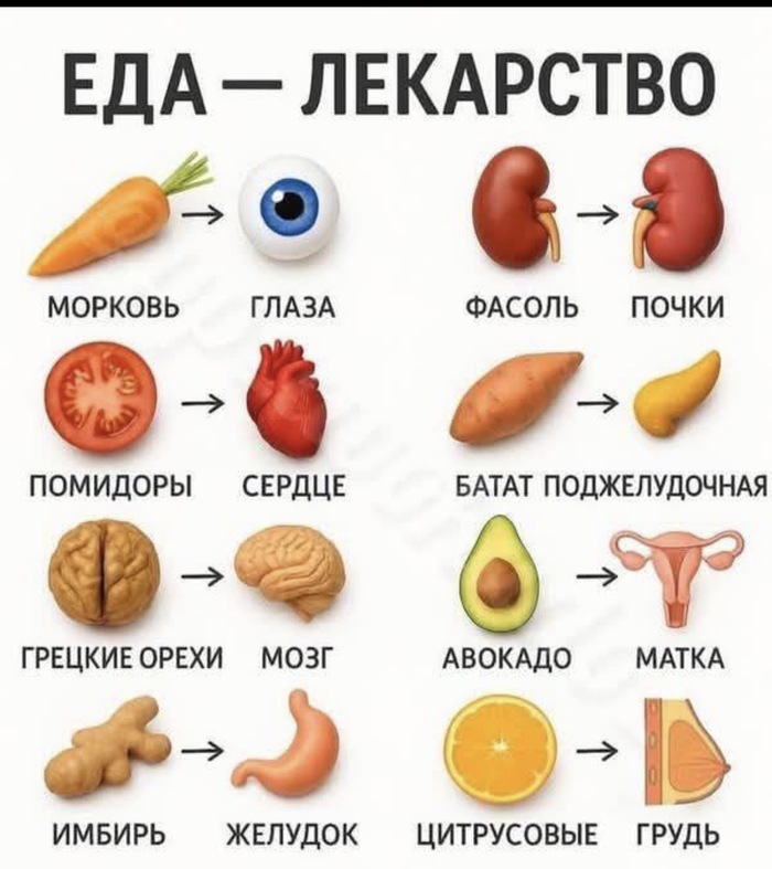 ���-���������