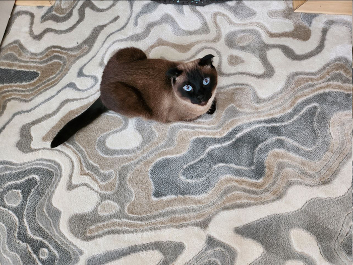 И вот это вы называете бухгалтерским отчетом?