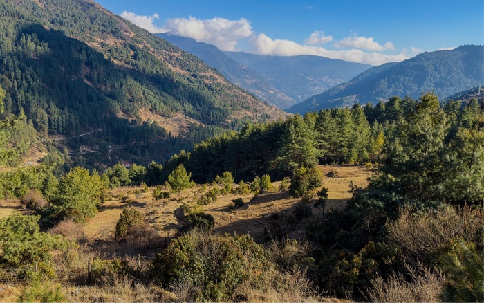 ������� ���� �� ������� �� 3000�