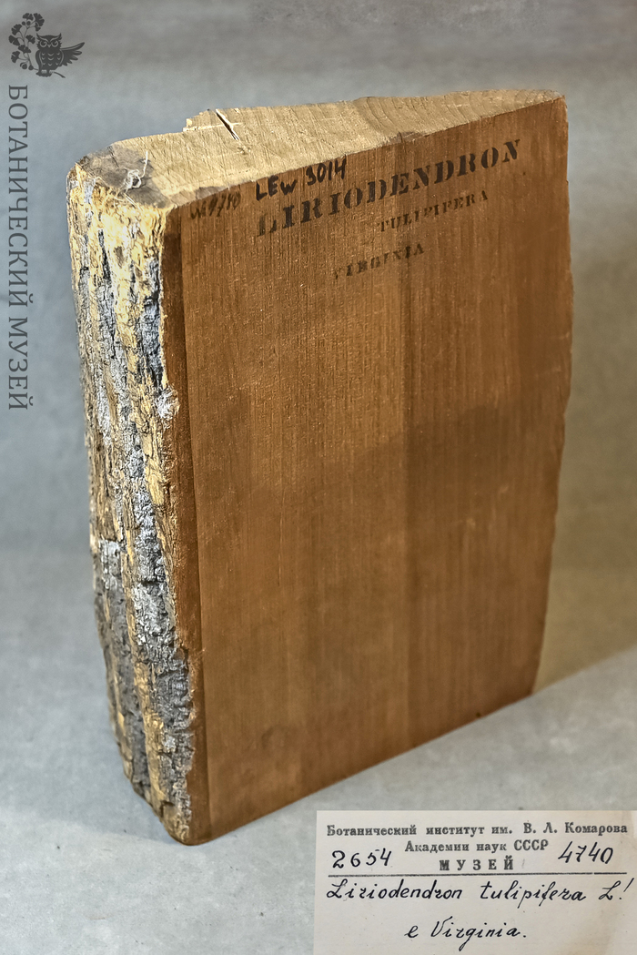 ����� ������ ������������� �� ����� ���������, ���. �� ���������������� ��������� ������������� ����� ��� ���.