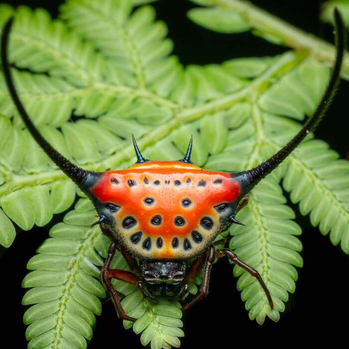 ������������ ����������