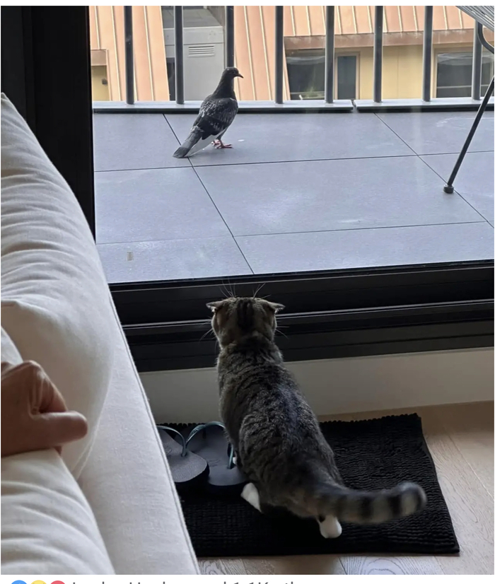 ����� ���...