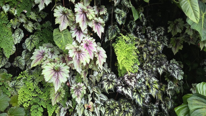 ����� �� �����������-���������� ��������