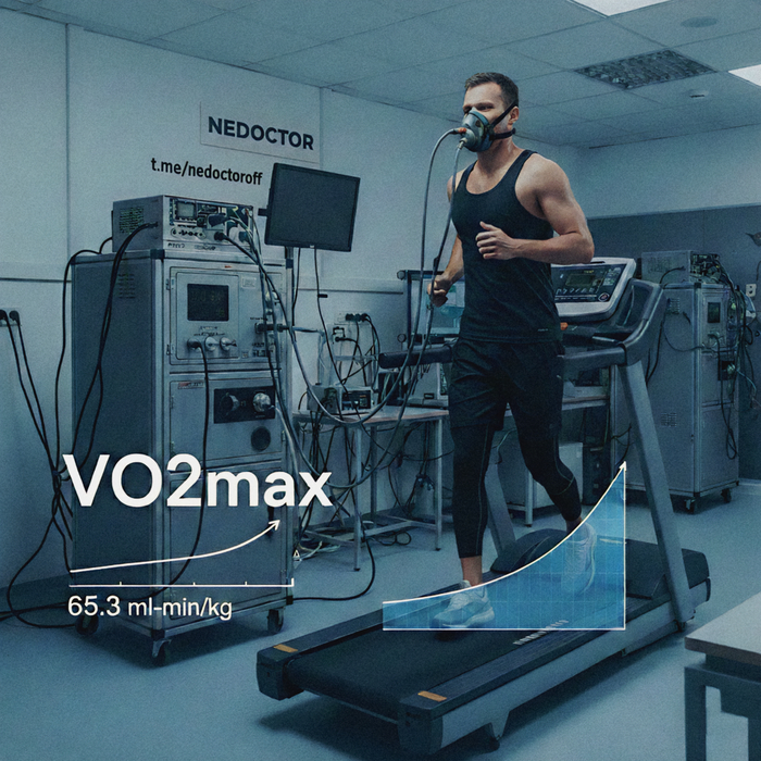 ����� ������ �����������: �������� ������ ��������� ������������������� ������������ � �������� ����������