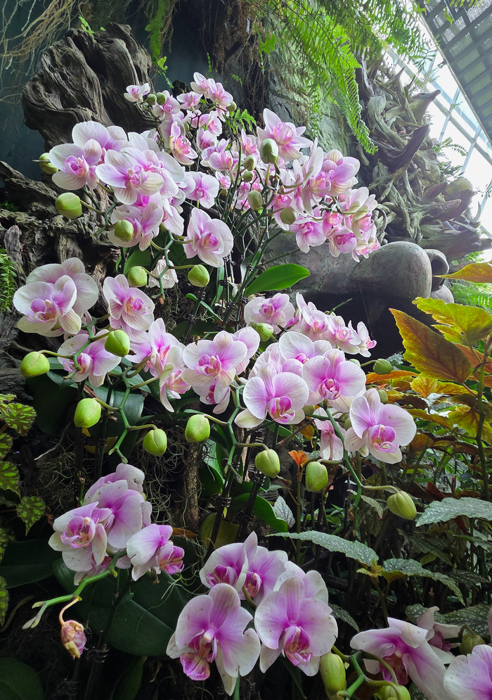 ����� ���� ���� �������� �������