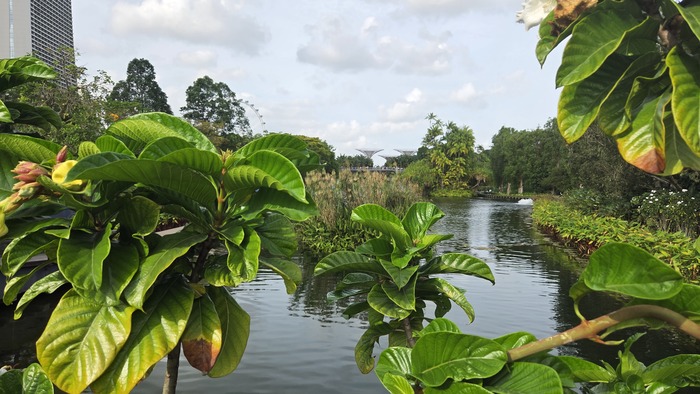 ��� � �������