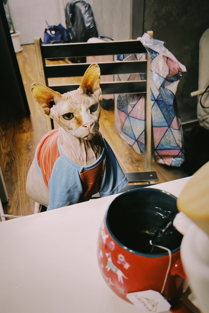 ���� ���