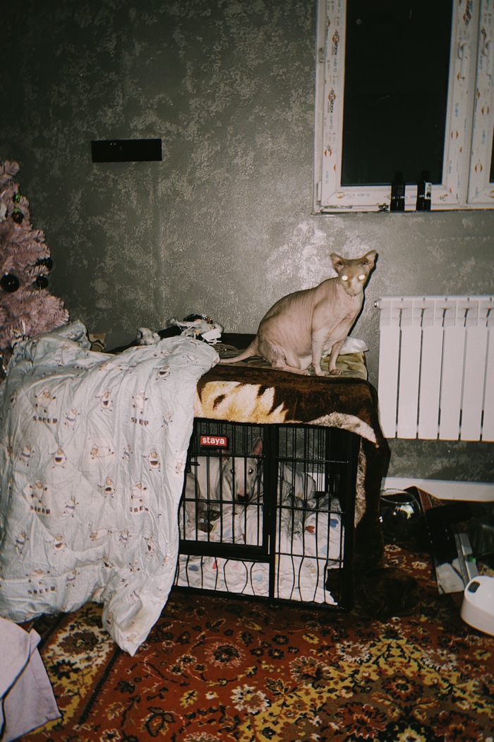 ������ ���� �� ����) �� ������ ���������������� 