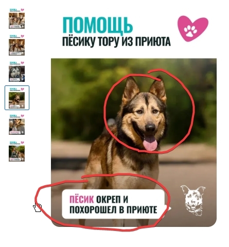 ������� �� �� �� 2.500.000 ����� � ���������))