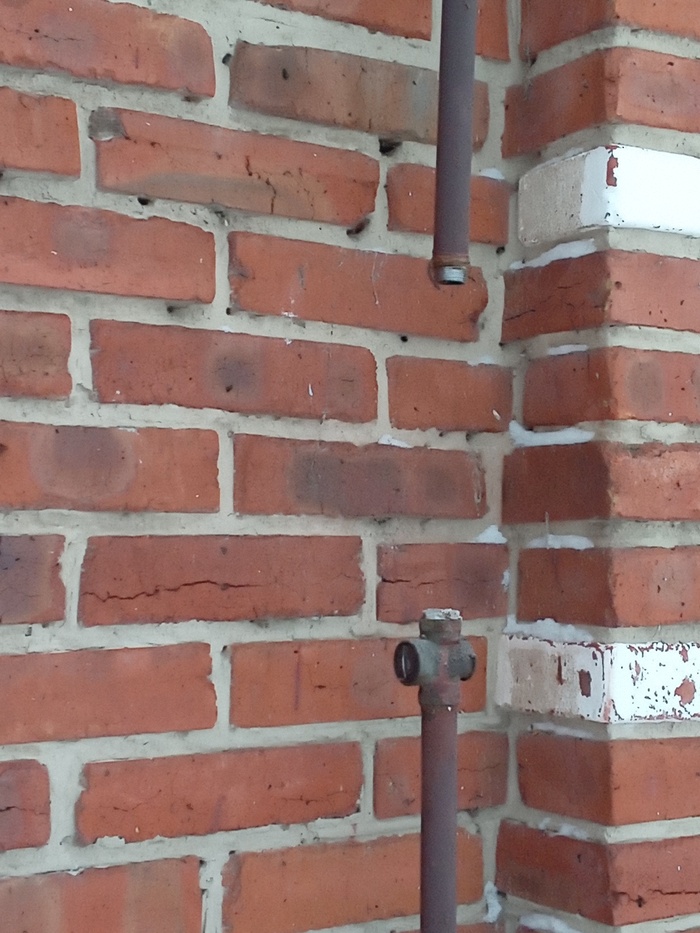 ��������� ���