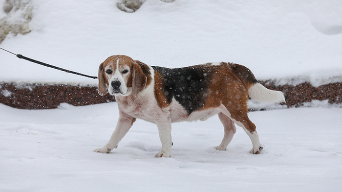 �������� �������� � ������������� � ����������� �������� �������� ����� �������