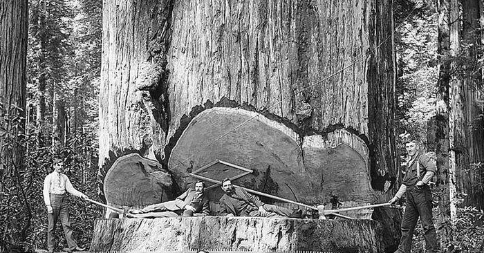 ����� �� ���� �������� � �������� ����������� ���, ��� �������� ��������