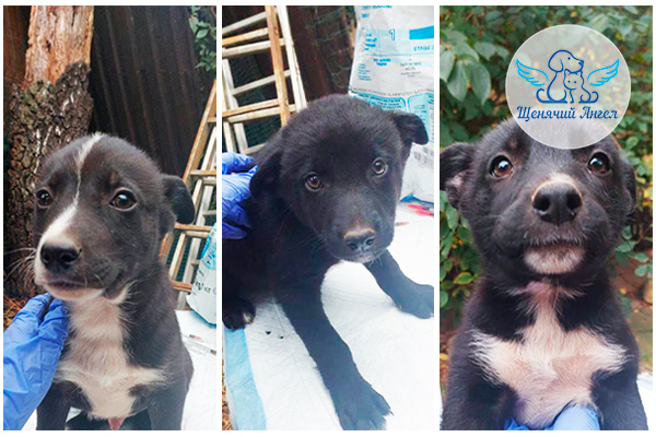 ������ ������ ��������� � ������ ���������&nbsp;