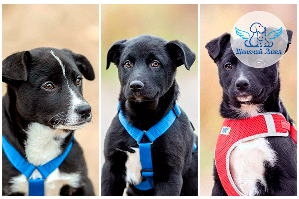 ���, ���� � ������