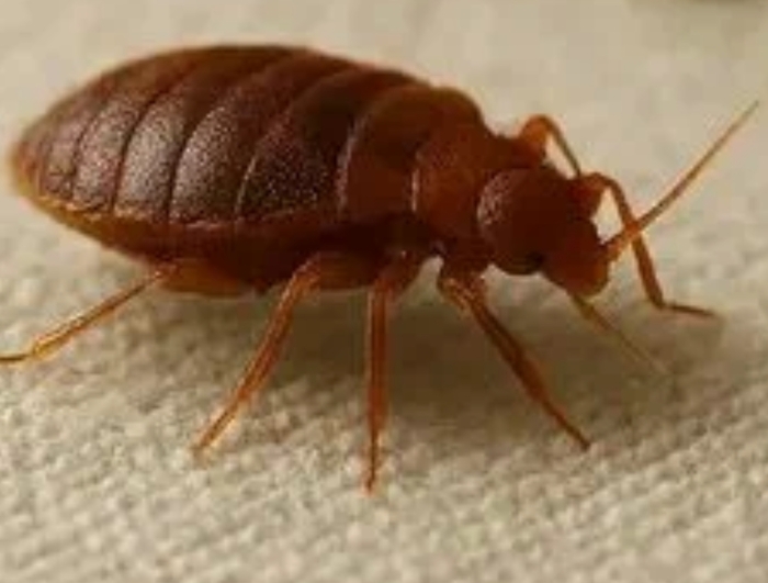 ����� �� ���� ���� � �� ������� ���� ��� �������