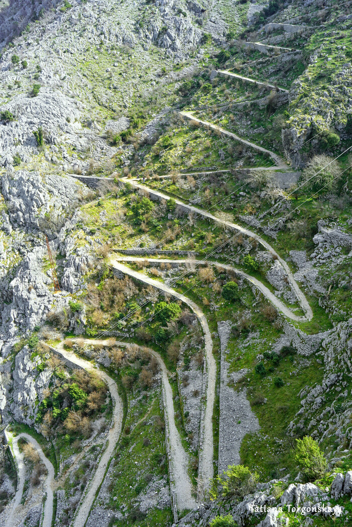 ����� �� ���� ��������� ��������