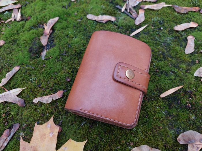 Первый кошелек собственной персоной