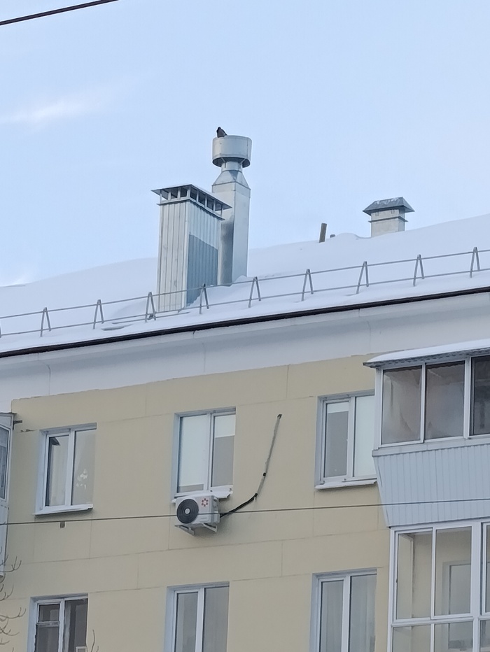 ������ ������� �� ������