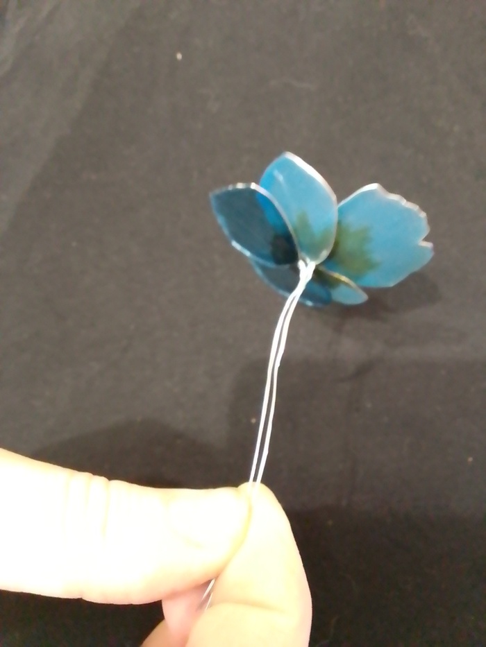 � ���� ���������