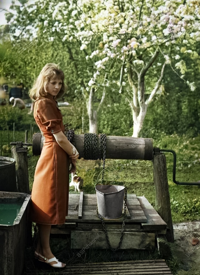 ��������: �������� �������