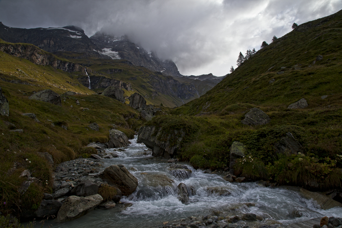 �����, ��������