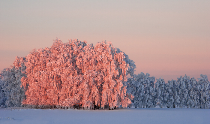 ������������ ����, �������� �� ����������