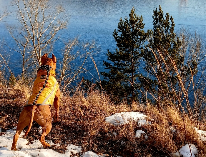 Афонтова гора