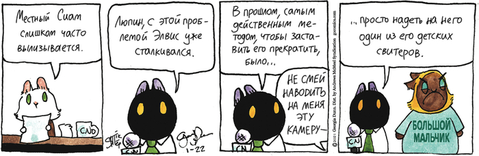 ��������� ������� �� 22.01.2026