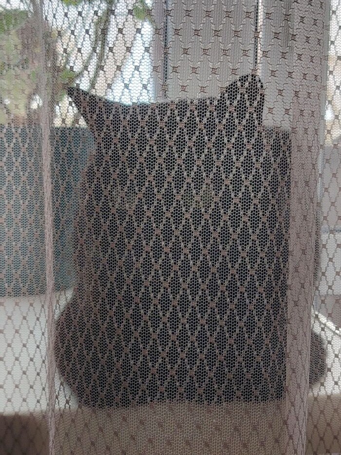 ��� ���, ������� �� �� �����������.