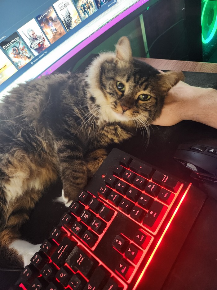 ���������� ������� #179