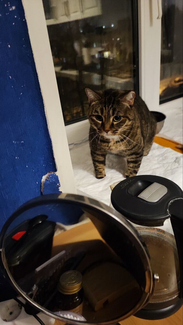 ��, �� ����������� ���� ������ �������