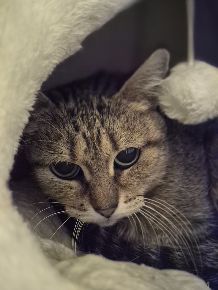 �������� ��� �� ����, �������� � ������