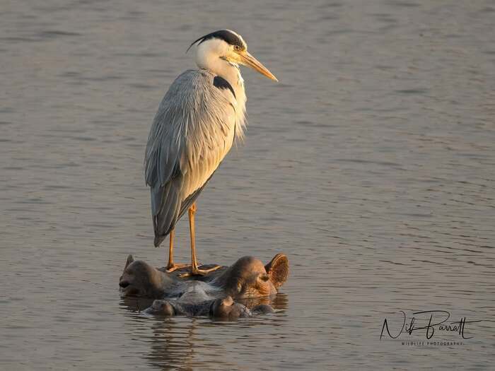 ����� �����, ��������� � ����� ��������� �����