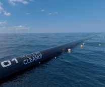 The ocean cleanup