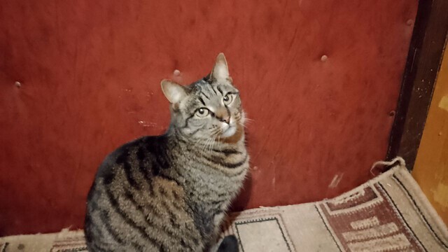 ����� ����� � ������ ����!