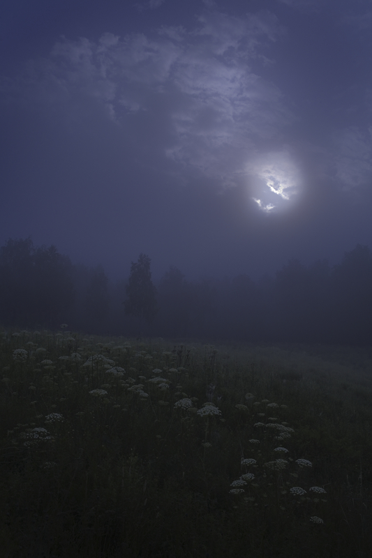 21. ����������, �������������