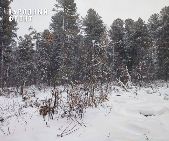 ����������� ����������� ���������� ������� ����������� �������������� ����������