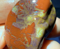 ���� ������