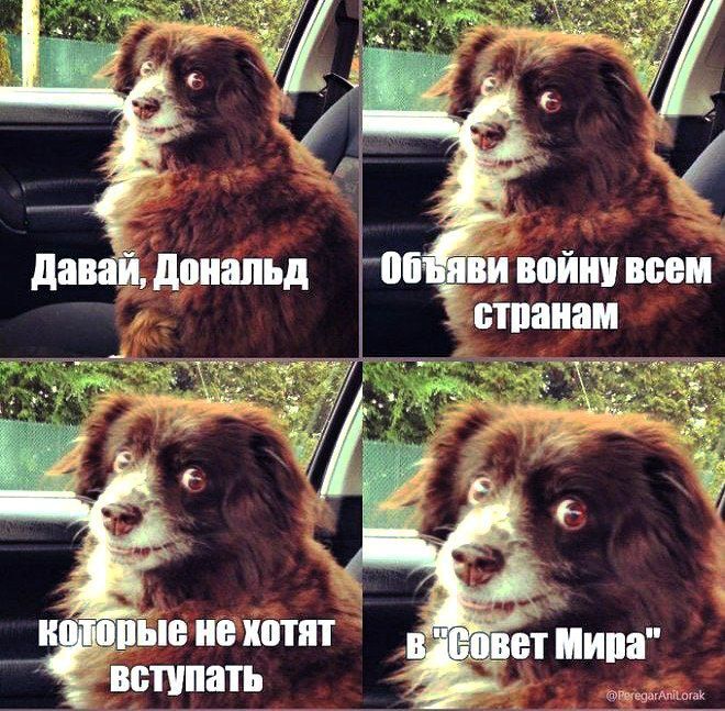 ����� ����