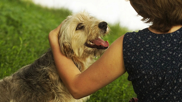 ����: ������ ������