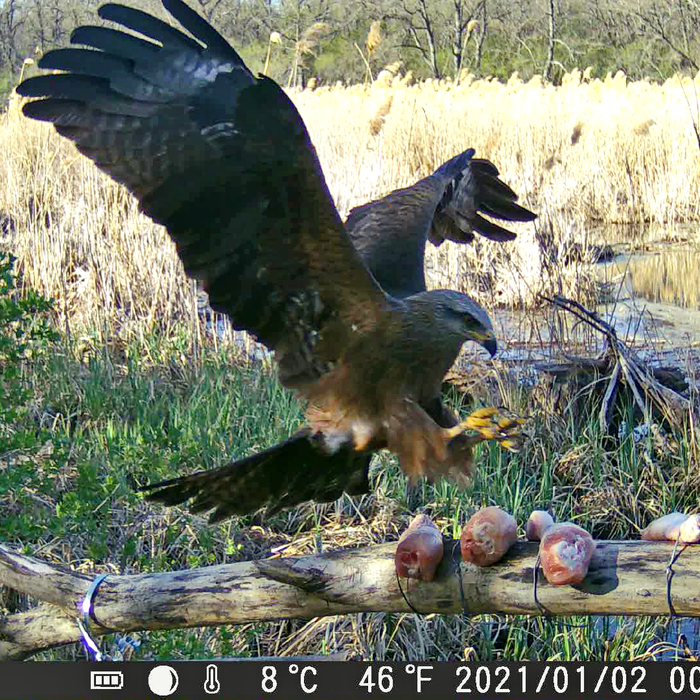 ������ �����. ������ ������. ����� � �����������